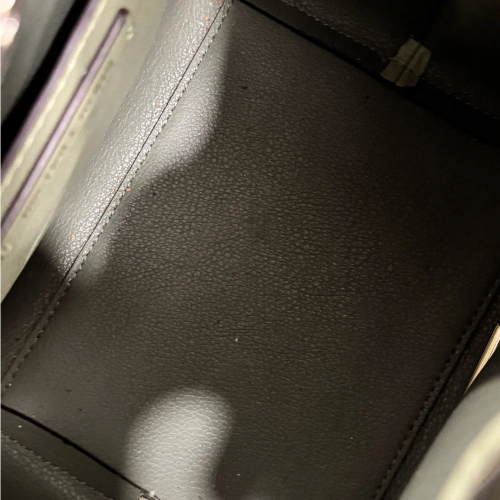 Michael Kors Light Green Crossbody Bag - Picture 4 of 4